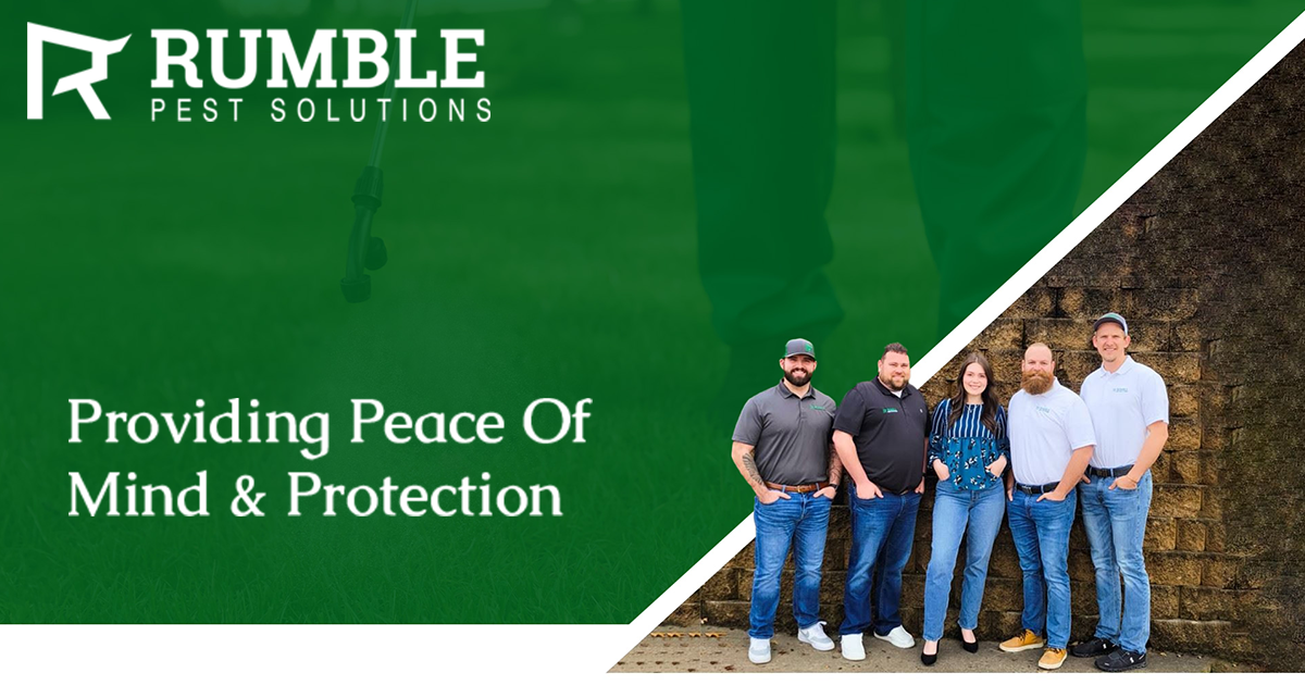 Rumble Pest Solutions