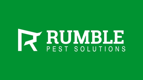 Termites in Springfield, MO: Signs Prevention & Treatment