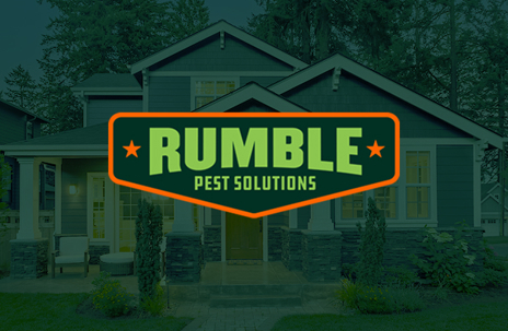 Protecting Your Home from Termite Damage in Springfield, MO